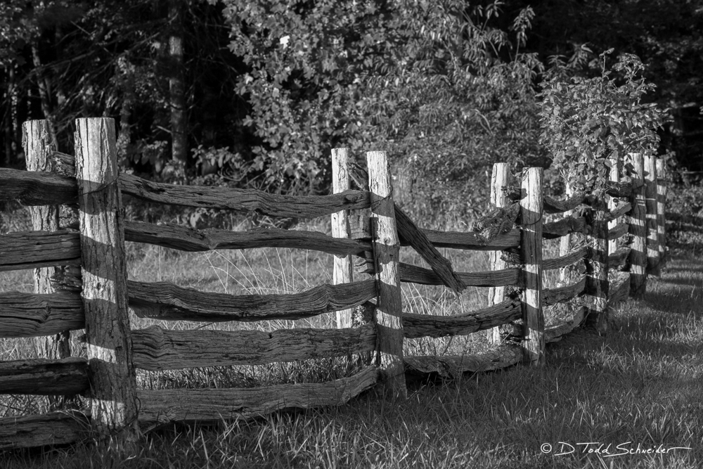This weathered, old fence has obviously been here for quite a while, but it too will eventually lose the battle with 'time'....