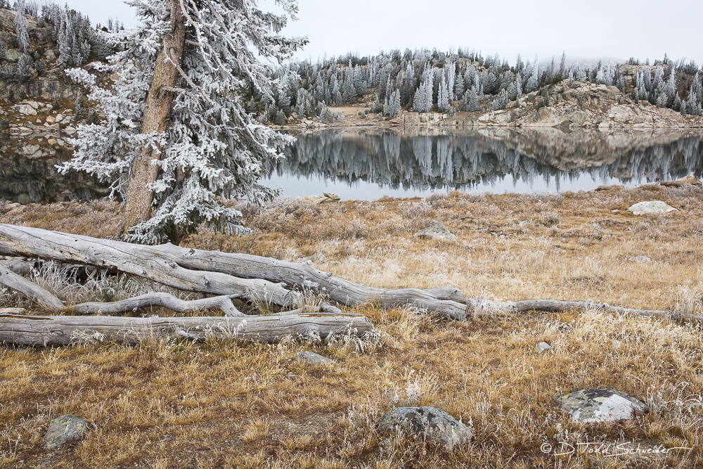 L0047, Wyoming, Signature-Series, Frosty Reflection, snow, lake, evergreen, reflection, spruce, frost